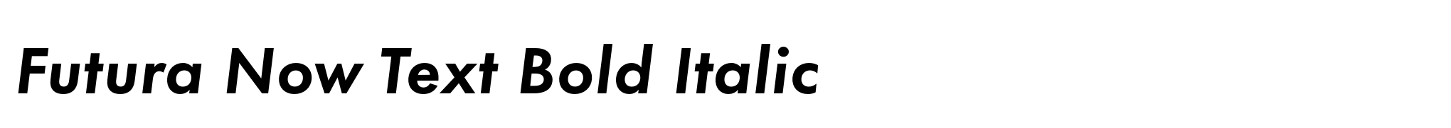 Futura Now Text Bold Italic image